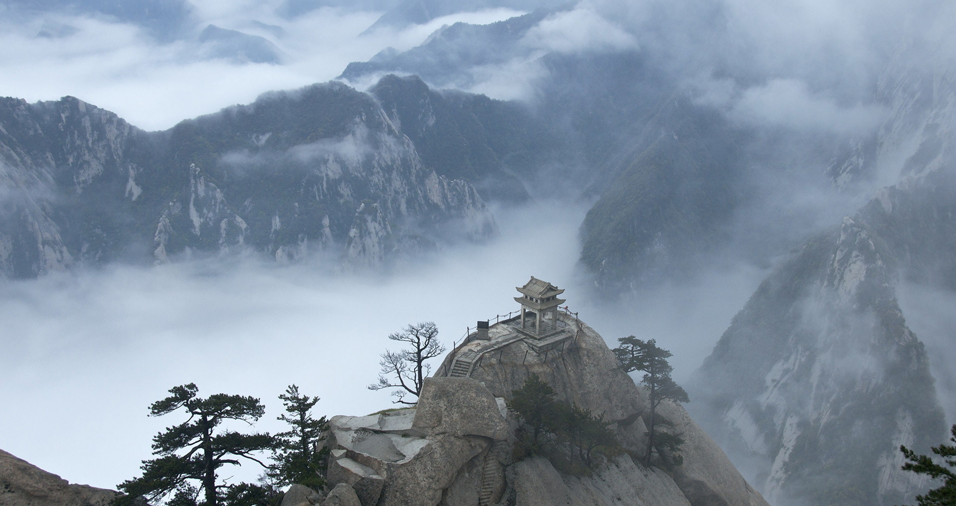 激活创新基因的ddos攻击测试