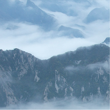 ddos攻击在哪能买到